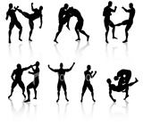 Artes Marciais em Petrópolis