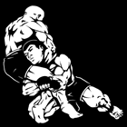 Jiu Jitsu em Petrópolis