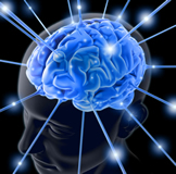 Neurologia e Neurologista em Petrópolis